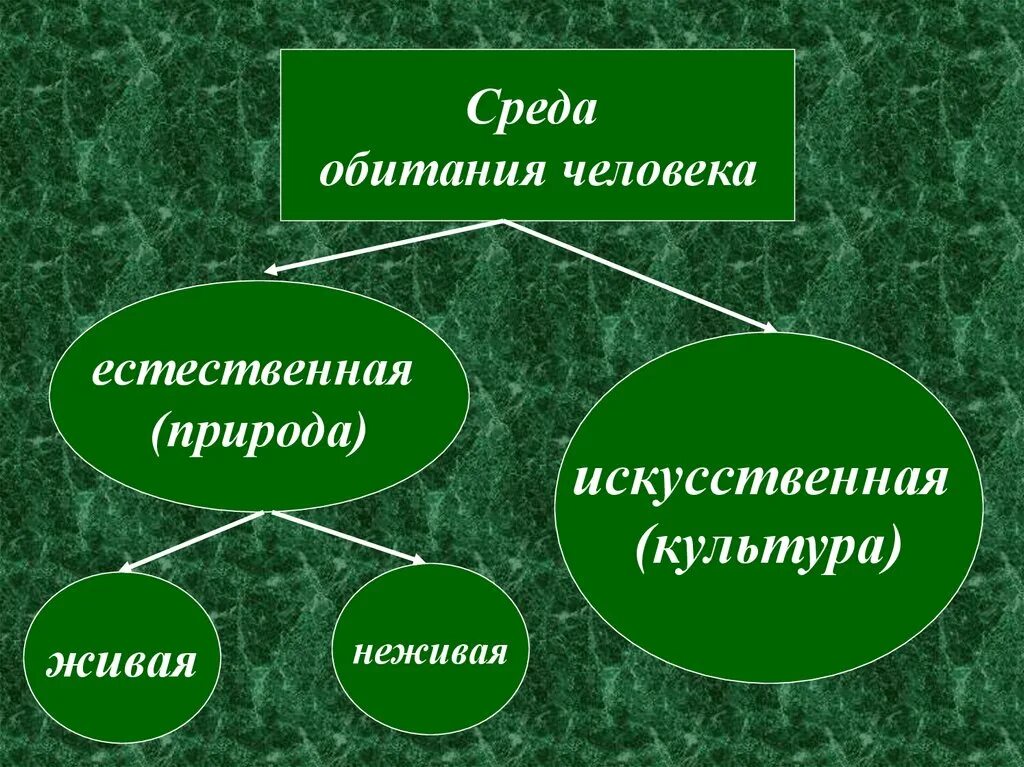 Среда обитания человека. Искусственная среда обитания человека. Естественная и искусственная природа. Естественная среда обитания человека.