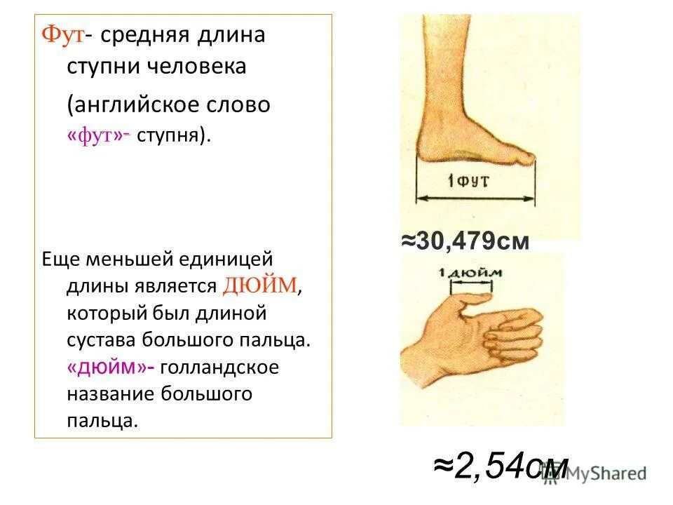 Фут мера длины. Фут длина ступни. Старинные единицы измерения фут. Старинные меры длины фут.