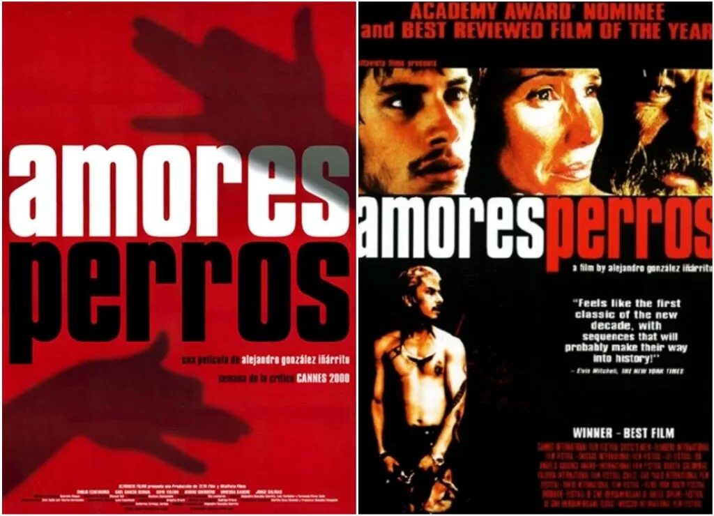 Amores сайт. Аморес Перрос. Amores perros Постер. Иньярриту сука-любовь Постер.