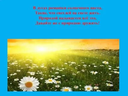 Презентация что называется природой