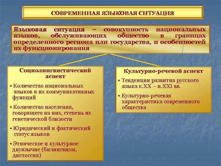 Какие изменения в развитии российского общества. Современная языковая ситуация. Основные направления государственной языковой политики. Современная государственная языковая политика. Современная языковая ситуация в России кратко.