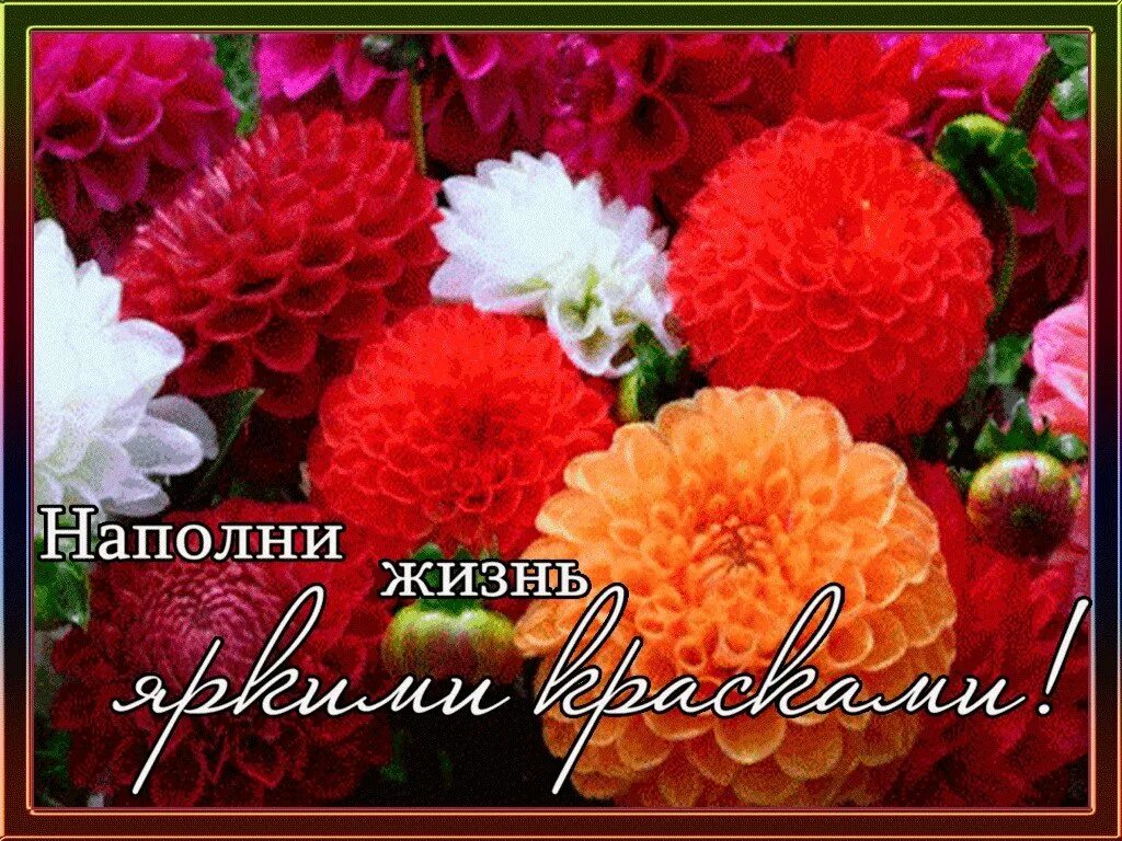 День наполнен