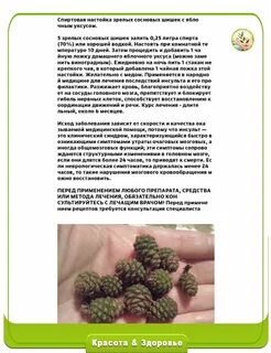 От чего помогают шишки сосны