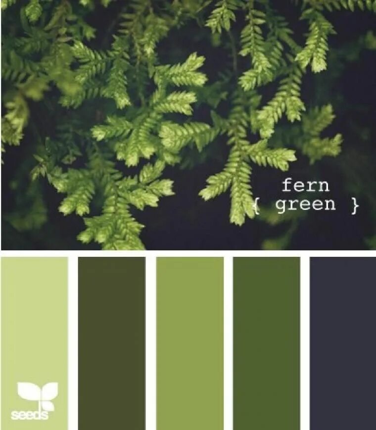 Зеленый цвет ели. Цвет хвои. Темно зеленый палитра. Хвойный цвет палитра. Хвойный зеленый цвет.