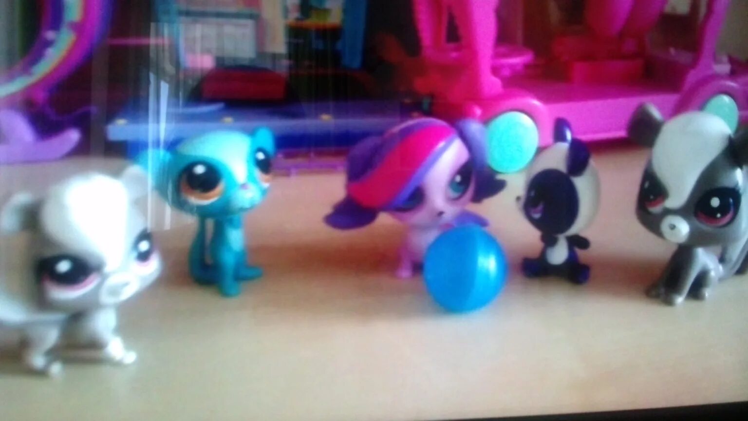 LPS Ball. Pet meme Generator.