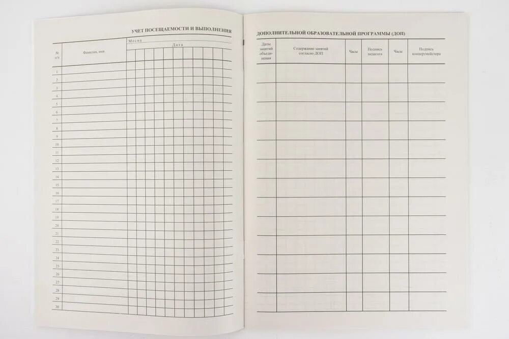 Атс образование дневник. Журнал дополнительного образования. Журналы дополнительного образов. Журнал дополнительных занятий. Журнал педагога дополнительного образования.