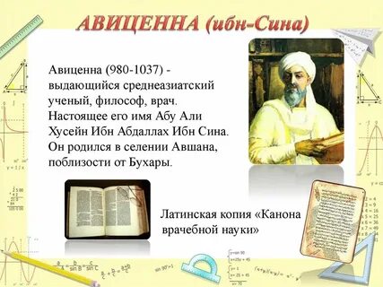 Авиценна казахская