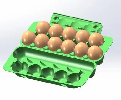 9 яичек