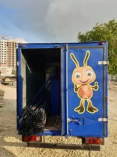 Муравей анапа