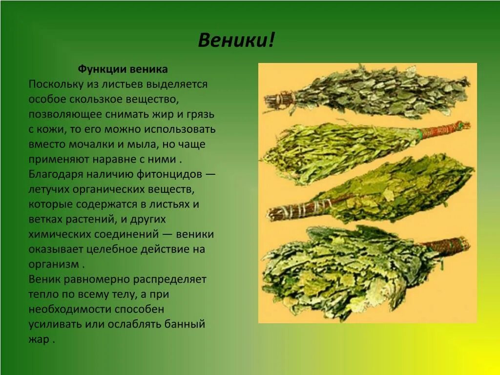 Обереги своими руками. Как называли веник в 19 в. Сочинение про веник по русскому языку. Словосочетания для сочинения. Сочинение про веник по русскому языку.