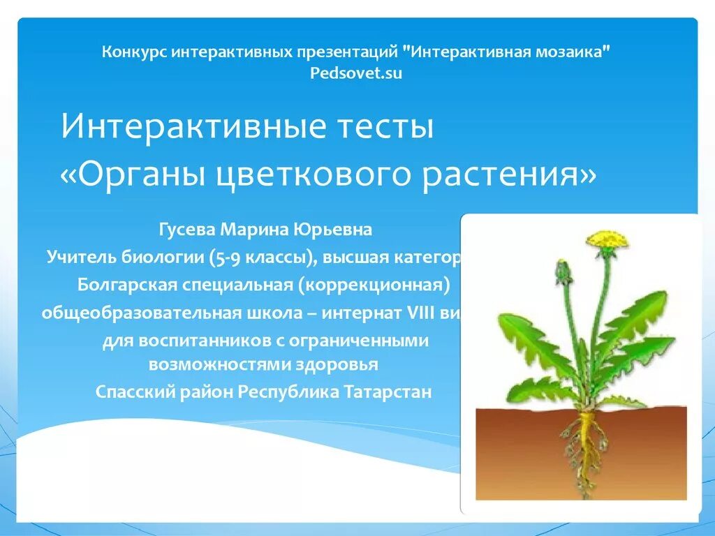 Биология проверочная работа по теме органы цветковых растений ответы. Проверочной работе по органам растения. Контрольная работа по биологии на тему органы растения 6 класс ответы. Контрольная работа по биологии 6 класс органы цветковых растений. Тест по биологии 6 класс органы цветковых растений.