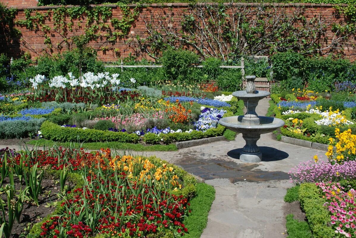 сад контакты