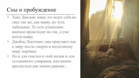 Видеть во сне коричневый цвет