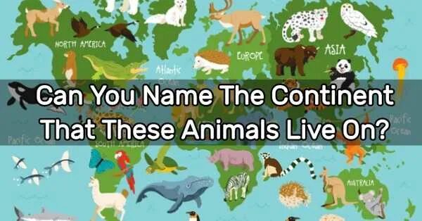 Animals that live. Where do animals live. where do they live animals. where do these animals live. animals a тв continents.