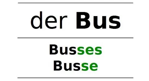 Bus множественное число