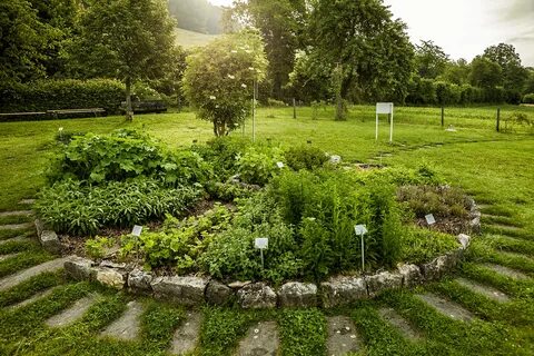 Garden plant отзывы