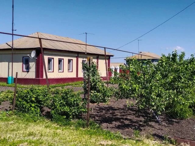 Погода в терновке саратовская область. Погода в терновке саратовская область