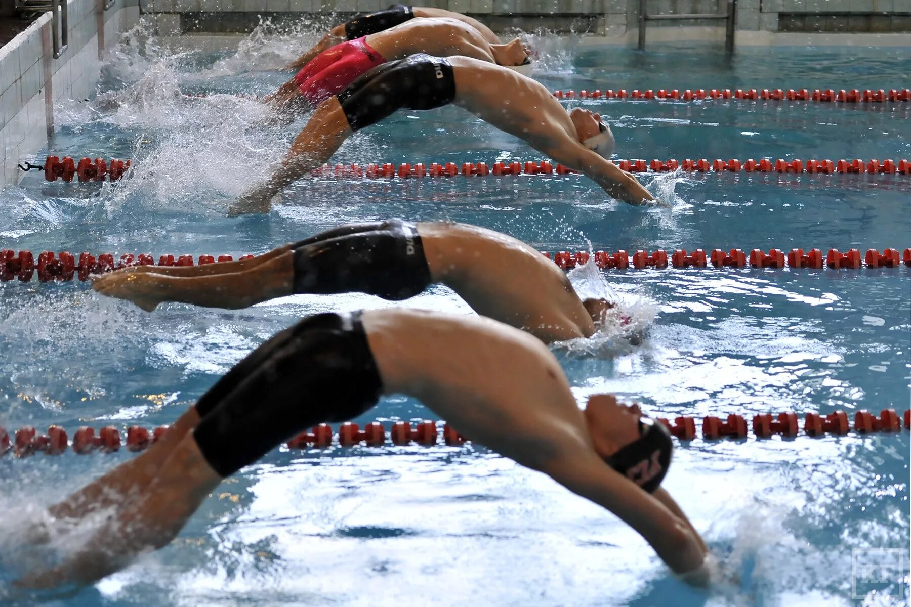 День спортивного плавания. Старт на спине плавание. Соревнования плавание на спине. Старт на соревнованиях по плаванию. Пловец перед стартом.