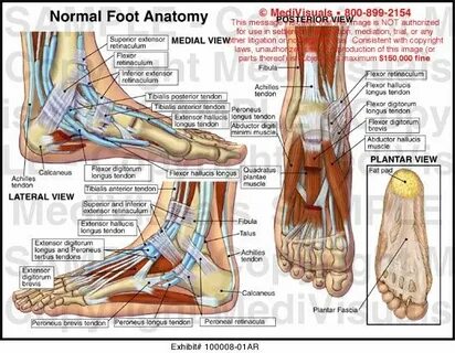Foot feet произношение