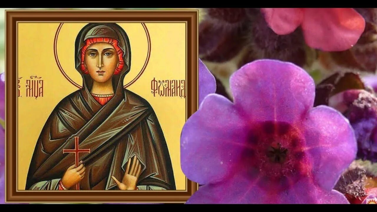 С днем юриста. 3 декабря женщина. Фото с днем юриста. Имена декабря 2022. С днем юриста картинки.