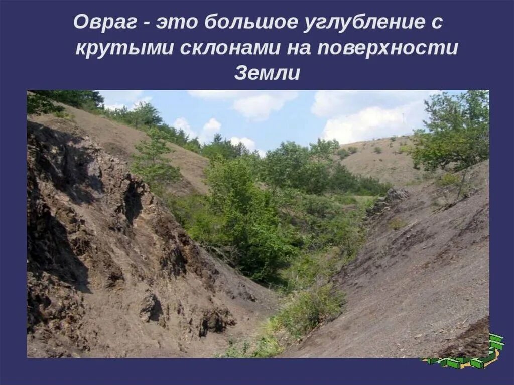 Сведения поверхности края. Овраг. Тема поверхность нашего края. Поверхность нашего края овраги. Сообщение о овраге.