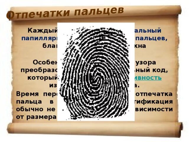 Ценности как отпечатки пальцев. И ценности как отпечатки пальцев. отпечатки пальцев-уникальный код человека. и ценности как отпечатки пальцев у каждого. ценность у каждого как отпечатки пальцев у каждого свои.