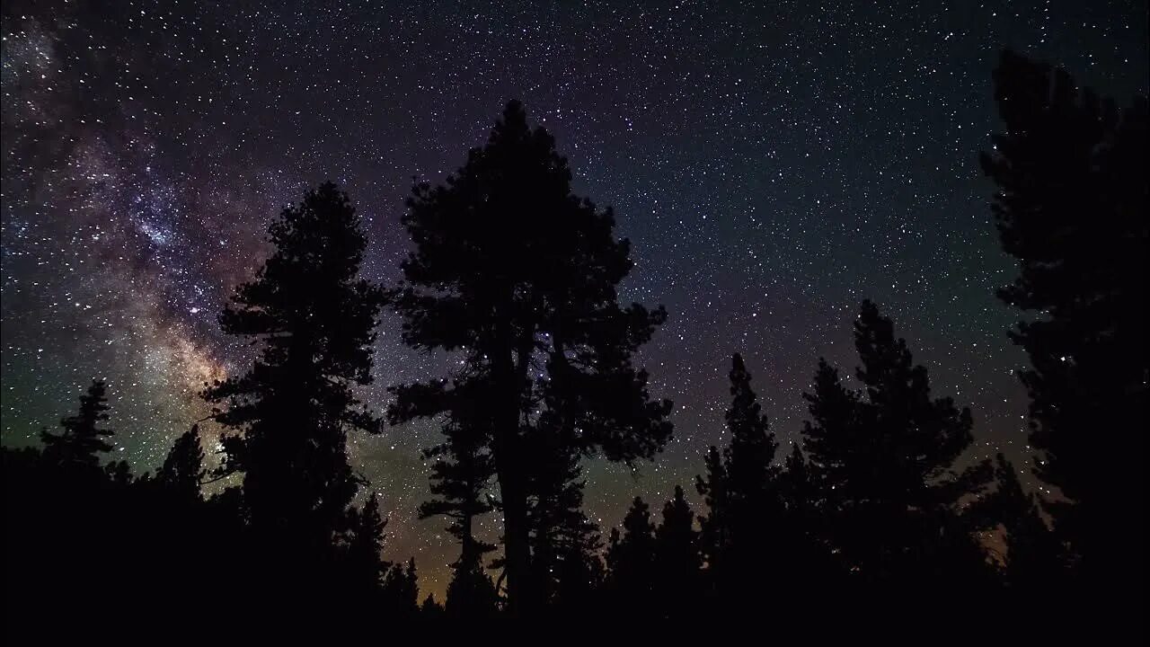 На небе зажглись звезды в лесу. Ночное небо. ночное звездное небо. ночной лес. ночь лес звезды.