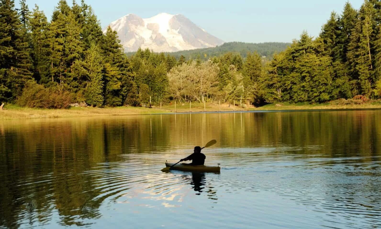 Река выходит из озера. Alder Lake озеро. Alder Lake поколение. Тигровое озеро. Озеро Тайгер.