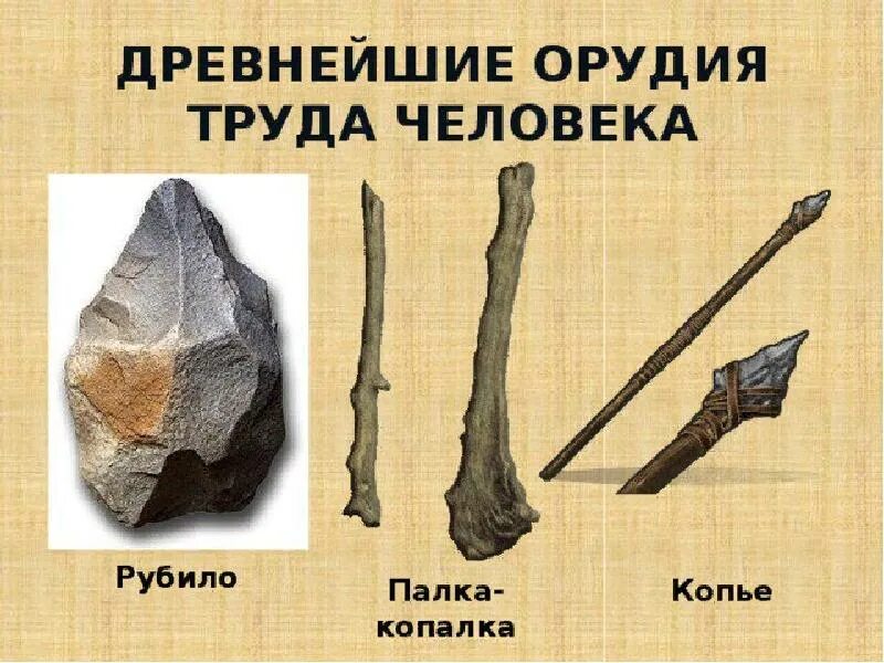 Что такое орудие труда. Палка копалка орудие труда древнейших людей. первое орудие труда первобытного человека. первые орудия древних людей. рисунки орудия труда древних людей.