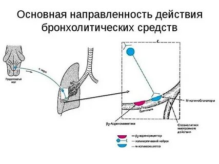Направленность действия