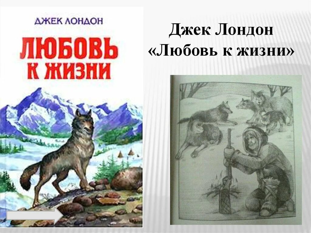 Краткое содержание джека лондона волк. Джек Лондон любовь к жизни обложка книги. Джек Лондон любовь к жизни иллюстрации. Иллюстрация к рассказу любовь к жизни Джек Лондон. Любовь к жизни Джек Лондон книга книги Джека Лондона.