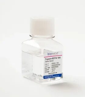 Solution 10