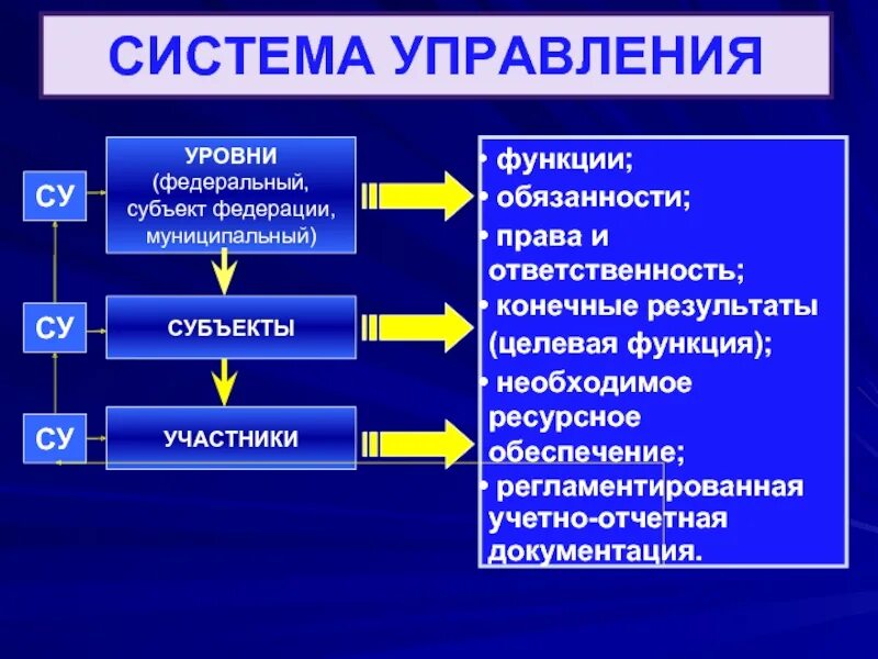 Федеральный уровень управления. Управленческие уровни. Местный уровень управления. Субъект информационной системы. Субъект федерального уровня управления