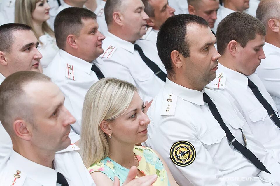 Сайт гаи могилев. Гаи могилева.