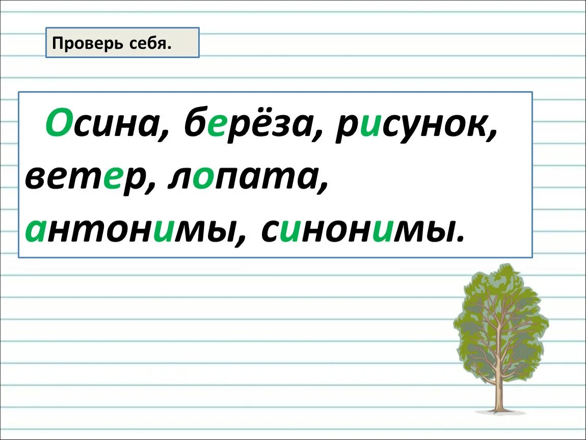 Синонимы к слову осина. Осина, осины, лопата, лопаты ветер ветра, рисунок. Лопата антонимы. Корень в слове лопата ветер ноябрь.