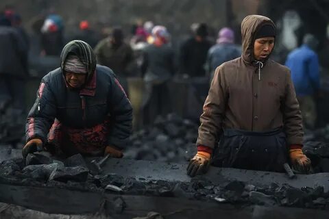 Dap coal china