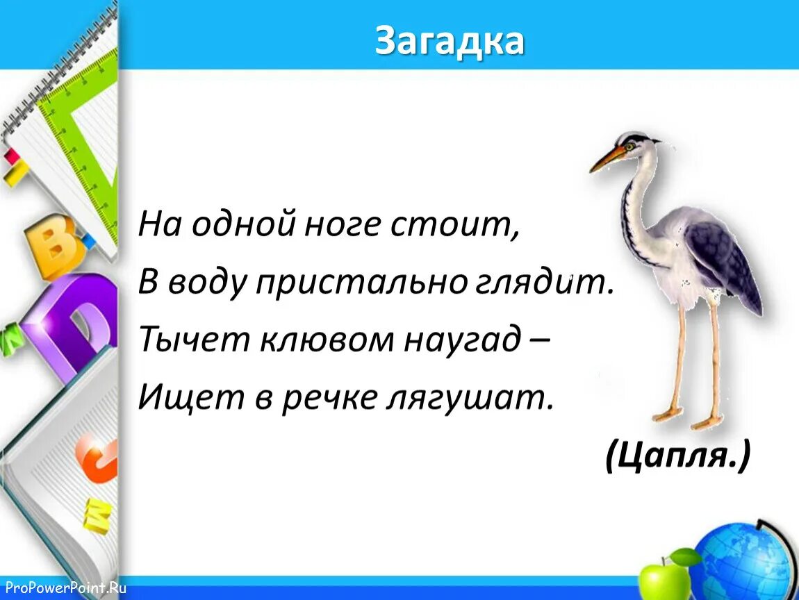 Загадка в воде живет нет клюва. Загадка про цаплю. загадка про цаплю для детей. загадка про журавля. загадка про журавля для детей.