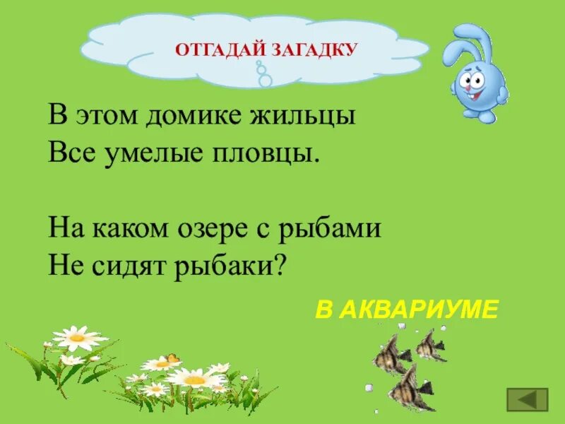 Загадки раз в жизни. В этом домике жильцы всеумелыеплавцы. Загадка в этом домике жильцы все умелые пловцы. Загадка в этом домике жильцы все умелые пловцы отгадка. Отгадывать загадки.