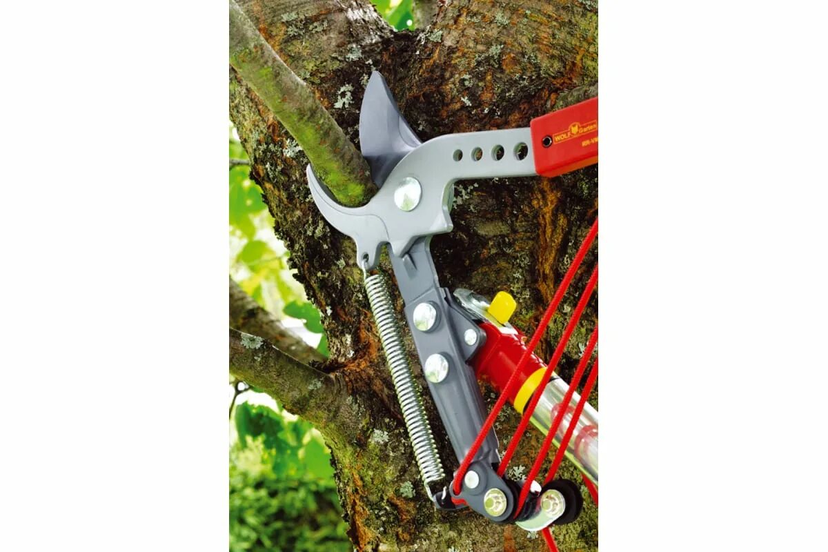 Секатор для деревьев рейтинг. Сучкорез sbkus-1sz-703. сучкорез для обрезки высоких деревьев центроинструмент 0219. сучкорез wolf garten телескопический. секатор-сучкорез ш6200.