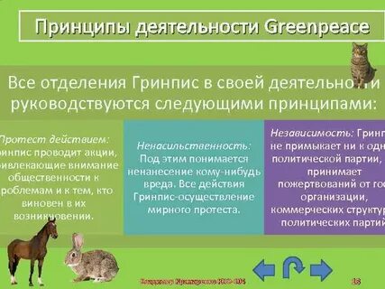 Гринпис основные