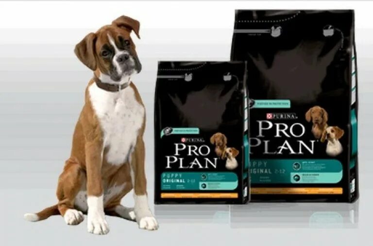 Пропал pro plan live. Проплан для собак. Корм Проплан для боксера. 10) Purina PROPLAN (корм для собак) разворот. Проплан сухой для собак.