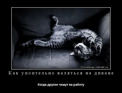 Как хорошо когда другие чешут на работу