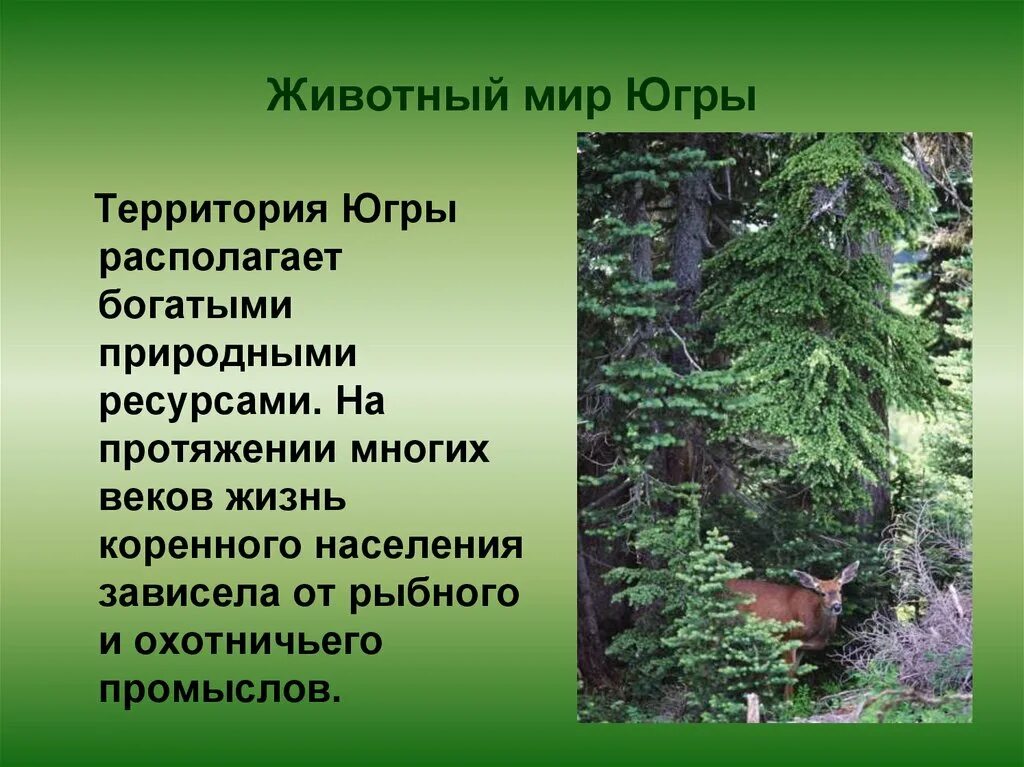Какой зоне находится югра