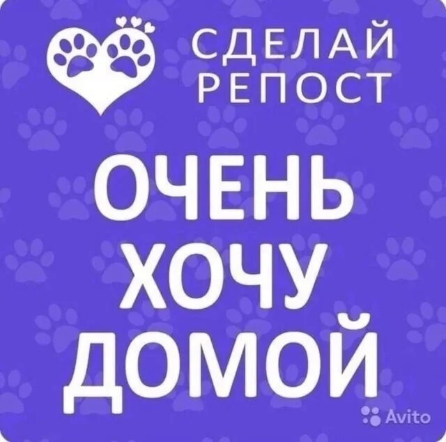 Я очень хочу посетить. Очень хочу домой. надпись хочу домой. я очень хочу домой. очень нужен дом.
