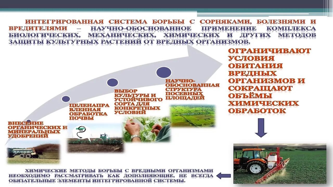Мировые новости - Страница 16 - Журнал "Картофельная Система"