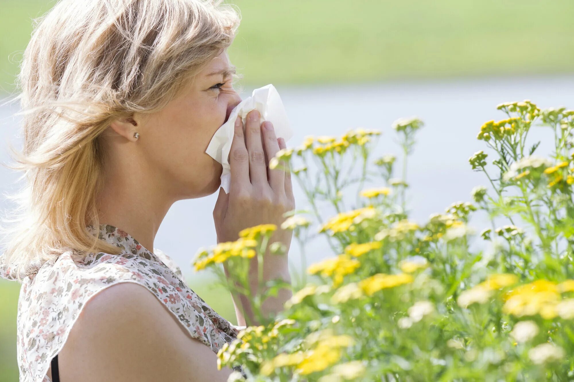 Аллергический ринит и поллиноз. Аллергия на пыльцу. Аллергия поллиноз. Сезонная аллергия.