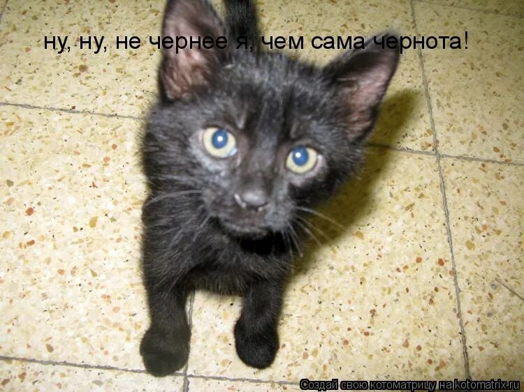 Ну да. Ну да мем. Давай расскажи мне. Ну расскажи мем. Ну ну.