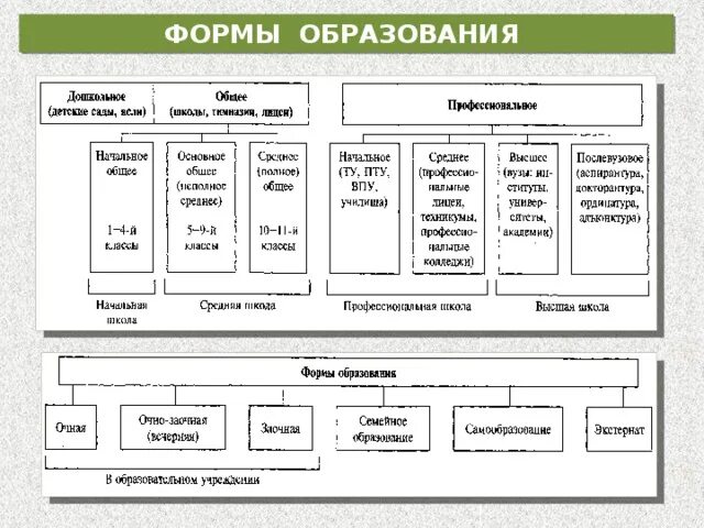 Виды образования с примерами Какие виды бывают