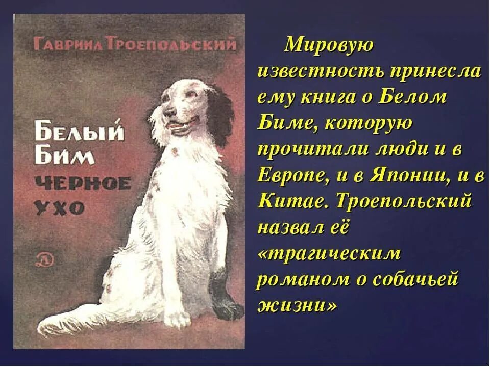 Содержание рассказа белый бим черное ухо. Г Троепольский белый Бим черное ухо. Троепольский белый Бим черное ухо книга.