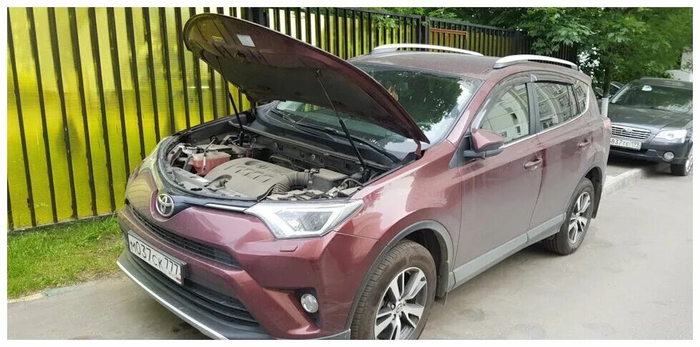 Капот toyota rav4. Амортизаторы капота Toyota rav4 2019. Амортизаторы капота Toyota rav4 2010-2013. Rival амортизаторы капота rav4 2020.